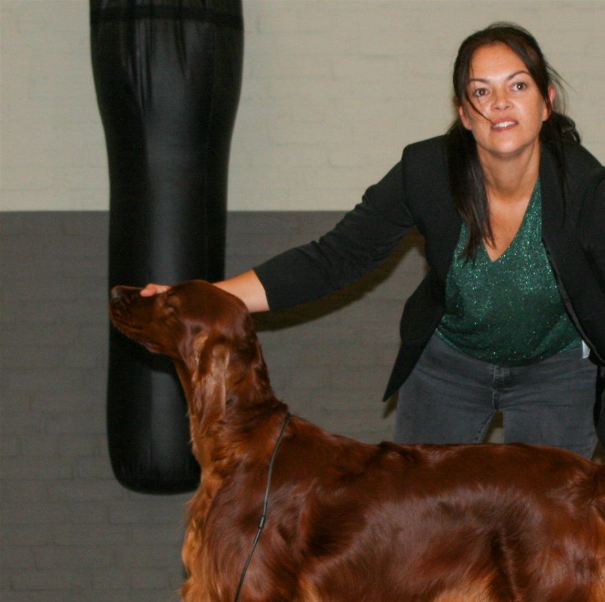 Best Jongehond @ PRJHD NL '21